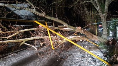 Повалені дерева, пожежі та застряглі авто. У ДСНС розповіли про наслідки негоди на Одещині Повалені дерева, пожежі та застряглі авто. У ДСНС розповіли про наслідки негоди на Одещині