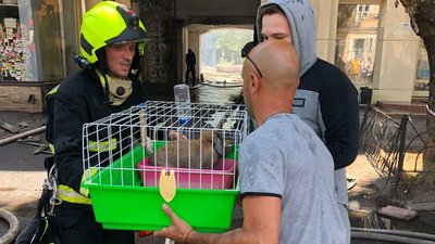 Два поверхи та дах: у центрі Одеси спалахнув житловий будинок Два поверхи та дах: у центрі Одеси спалахнув житловий будинок