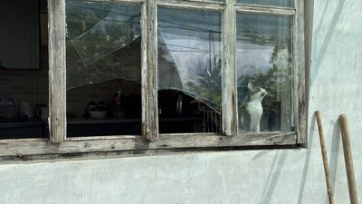 У Полтаві погодили майже 800 тисяч гривень компенсацій за пошкоджене майно