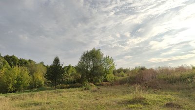 Краєвид