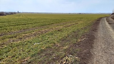 «Воля Божа й постараємося – буде врожай». Репортаж із фермерського господарства на Дніпропетровщині «Воля Божа й постараємося – буде врожай». Репортаж із фермерського господарства на Дніпропетровщині