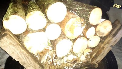 На Рівненщині вилучили понад 25 кубів деревини. Що про це відомо На Рівненщині вилучили понад 25 кубів деревини. Що про це відомо