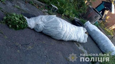 Поліцейські вилучили коноплі