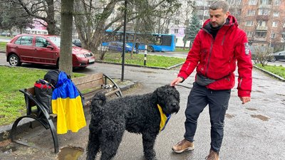 Василь Катола разом із своєю собакою пройшов пішки 1336 кілометрів з Києва до Ужгорода Василь Катола разом із своєю собакою пройшов пішки 1336 кілометрів з Києва до Ужгорода
