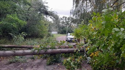 Через негоду на Київщині понад 30 населених пунктів повністю або частково знеструмлені