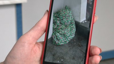 Бездомна біля аптеки Бездомна біля аптеки
