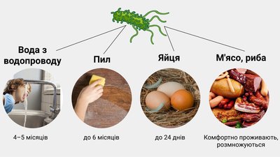 Можливі джерела інфікування