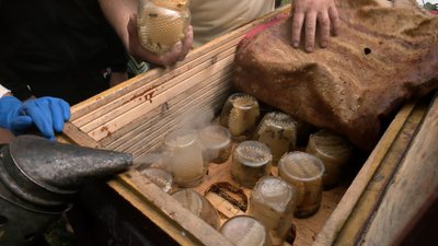 Волинський пасічник виготовляє корпусні вулики для бджіл Волинський пасічник виготовляє корпусні вулики для бджіл