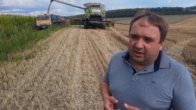 У громаді на Тернопільщині не спішать продавати пшеницю нового врожаю У громаді на Тернопільщині не спішать продавати пшеницю нового врожаю