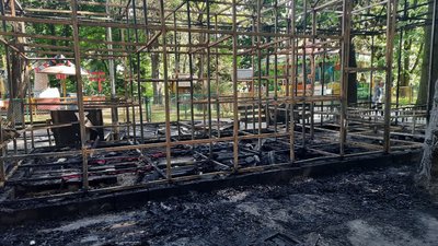 Наслідки пожежі у центральному парку Вінниці