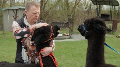 Альпака, будинок для бджіл та електропастух: як підприємець з Чернігівщини організував зоодім за гроші проєкту "Єробота" Альпака, будинок для бджіл та електропастух: як підприємець з Чернігівщини організував зоодім за гроші проєкту "Єробота"