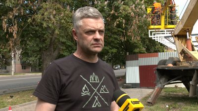 "Шанс вижити — 10%": у якому стані пошкоджені дерева у Луцьку "Шанс вижити — 10%": у якому стані пошкоджені дерева у Луцьку