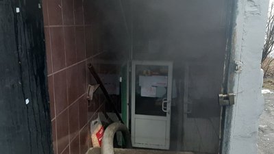 Загибель тварин у зоомагазині в Харкові: що розповіла управителька будинку