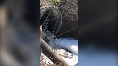 «Піноподібна маса з хімічним запахом». Хто забруднює озеро Куряче в Дніпрі – репортаж «Піноподібна маса з хімічним запахом». Хто забруднює озеро Куряче в Дніпрі – репортаж