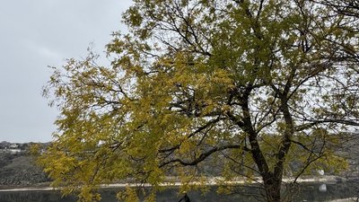 Погода в Запоріжжі