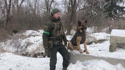 собаки нацгвардія собаки нацгвардія