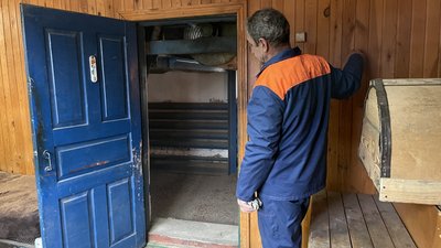 Зі 100 кілограмів шишок ― 1 кілограм насіння сосни: як заготовляють на Полтавщині Зі 100 кілограмів шишок ― 1 кілограм насіння сосни: як заготовляють на Полтавщині