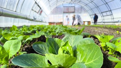 У Новому Бузі організували безоплатні курси для жителів громади