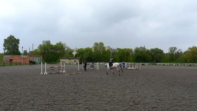 Спали у конюшнях, щоб заспокоювати коней під час вибухів. Як Сумська кінна школа пережила воєнні дії в області Спали у конюшнях, щоб заспокоювати коней під час вибухів. Як Сумська кінна школа пережила воєнні дії в області