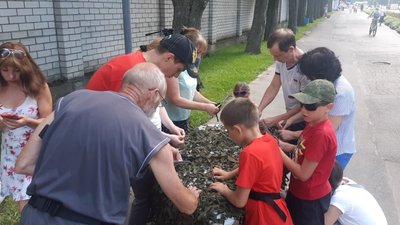 У Вінниці для бійців на Схід плели маскувальну сітку У Вінниці для бійців на Схід плели маскувальну сітку