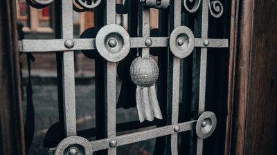 У Львові відновили старовинну браму з плющем У Львові відновили старовинну браму з плющем