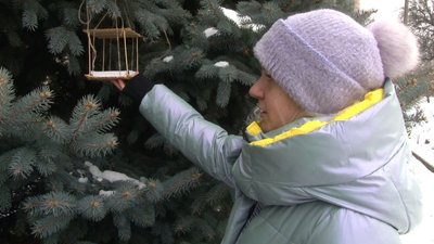 Чим краще підгодовувати птахів взимку, розповів черкаський орнітолог Чим краще підгодовувати птахів взимку, розповів черкаський орнітолог