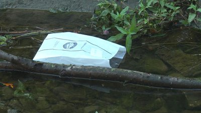 Русло річки Жидувка у Луцьку очищають від сміття та гілок Русло річки Жидувка у Луцьку очищають від сміття та гілок
