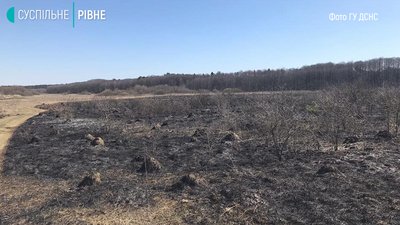 На Рівненщині вдалось упіймати палія сухостою