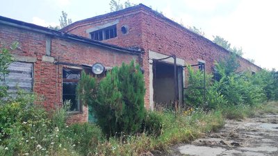 Шестирічну дівчинку на Харківщині вбили: поліція вважає нападником 13-річного хлопця Шестирічну дівчинку на Харківщині вбили: поліція вважає нападником 13-річного хлопця
