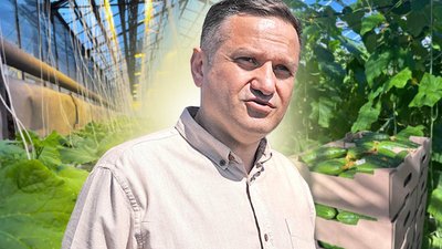 Огірки подорожчали на 40%: директор овочевої фабрики на Харківщині розказав про причини