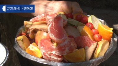 За сприяння карантину: у тварин та птахів Черкаського зоопарку поповнення За сприяння карантину: у тварин та птахів Черкаського зоопарку поповнення