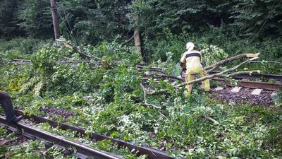 Повалені дерева та підтоплені дворогосподарства: наслідки негоди на Закарпатті 17 липня Повалені дерева та підтоплені дворогосподарства: наслідки негоди на Закарпатті 17 липня