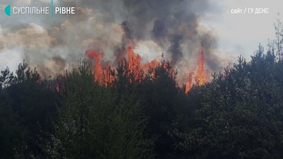 пожежа 30га лісу пожежа 30га лісу
