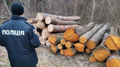 На Волині викрили незаконну рубку лісу на 2,5 мільйона гривень На Волині викрили незаконну рубку лісу на 2,5 мільйона гривень