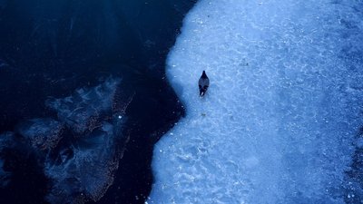 Замерзла річка Лопань у Харкові, січень 2024 року Замерзла річка Лопань у Харкові, січень 2024 року