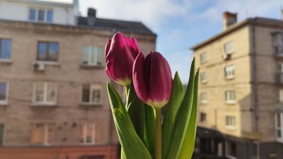 Погода, 28 лютого, 1 березня, 27 лютого 2026, Тернопіль