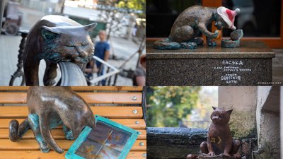 "Котячий" маршрут в Одесі "Котячий" маршрут в Одесі
