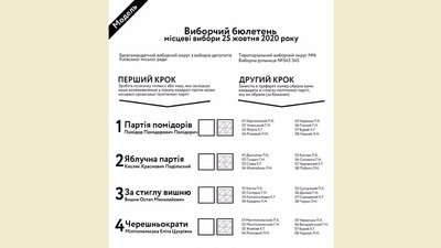 У порожній клітині треба буде поставити галочку за партію і в трафареті вказати номер кандидата, фото ОПОРА
