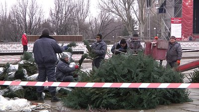 В Запоріжжі встановлюють головну ялинку області В Запоріжжі встановлюють головну ялинку області