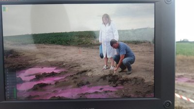 Біля Рівного у полі з'явилися калюжі рожевого кольору Біля Рівного у полі з'явилися калюжі рожевого кольору