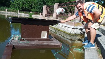 На озері Копань у Кропивницькому з'явився будиночок для качиної родини На озері Копань у Кропивницькому з'явився будиночок для качиної родини