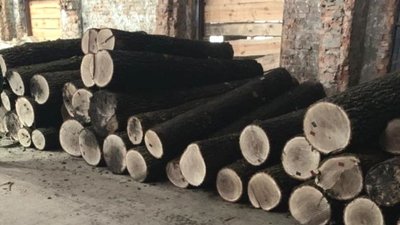 На Житомирщині викрили групу з підприємців та посадовців лісгоспу, які займалися незаконними рубками На Житомирщині викрили групу з підприємців та посадовців лісгоспу, які займалися незаконними рубками