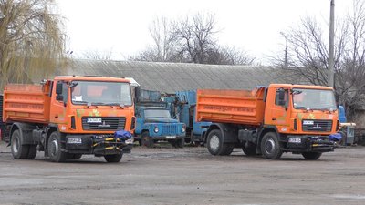 Де черкасцям залишити ялинки, щоб їх вивезли