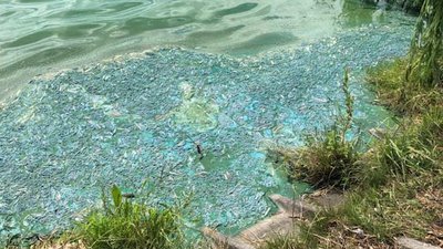 Водоканал спростував інформацію про буцімто отруєння води в гідропарку Рівного