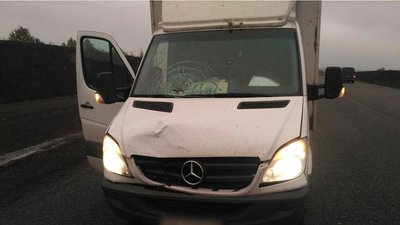 За кермом вантажівки був 33-річний житель Києва. Фото: ГУ НП у Хмельницькій області