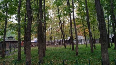 У тернопільському зоокутку розпочали дезінфекційні роботи У тернопільському зоокутку розпочали дезінфекційні роботи