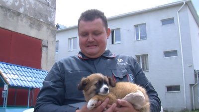 Волинські газовики рятують тримісячне щеня, яке втрапило під машину Волинські газовики рятують тримісячне щеня, яке втрапило під машину