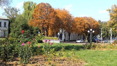 "У нас зацвіла груша": у Глухові на Сумщині зацвіли каштани та фруктові дерева "У нас зацвіла груша": у Глухові на Сумщині зацвіли каштани та фруктові дерева