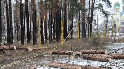 В Іршанську на газопровід впало дерево. Місцеві жителі залишилися без газу В Іршанську на газопровід впало дерево. Місцеві жителі залишилися без газу
