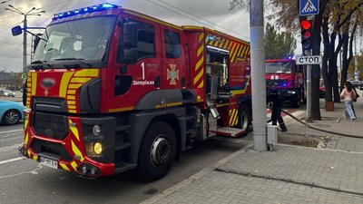У Запоріжжі під час пожежі в багатоповерховому будинку врятували кота